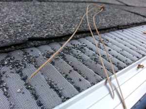 Professional roof gutter cleaner | Northside Window & Gutter Cleaning